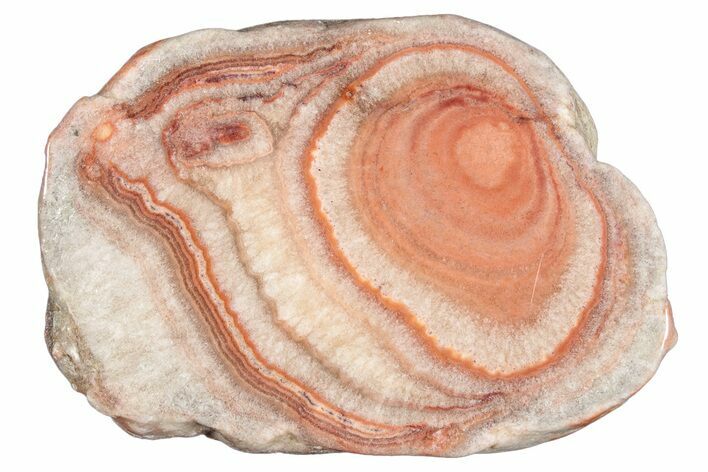 Polished Potato Agate Slice - England #283092